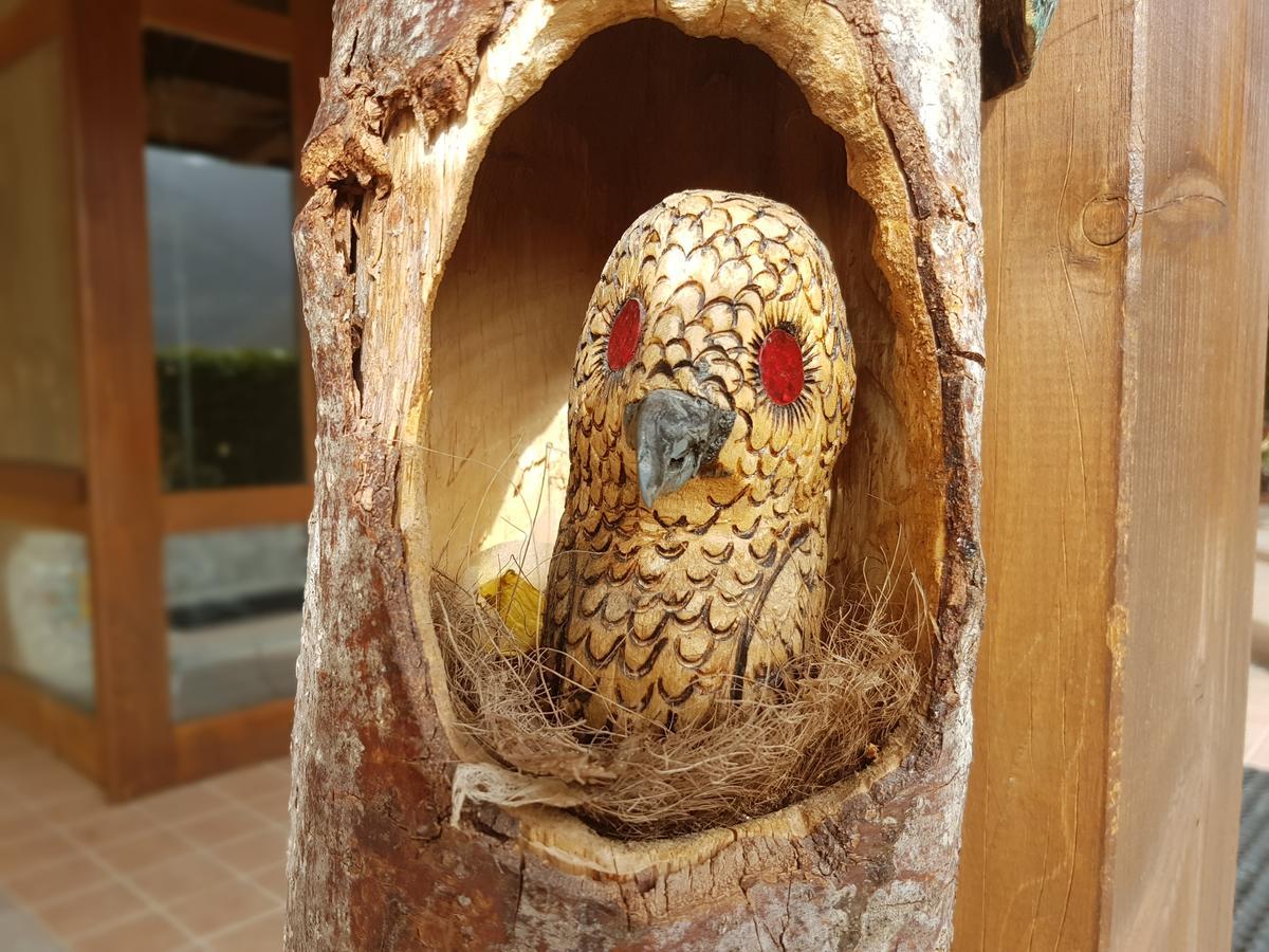 Le Chalet Del Pollino Ротонда Екстер'єр фото
